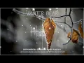 Download Lagu BTS V- ‘Winter Bear’ FANTASY LULLABY COVER| soothing, relaxing music [to help you sleep]