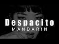 Despacito - Mandarin w' Pinyin English Lyrics [LyricLaoshi]