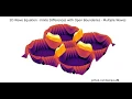 2D Wave Equation with Open Boundaries - Symmetric Multiple Waves