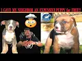 I gave my neighbor a huge pitbull PUPPY for FREE Story Time