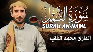 سورة النمل كاملة مكتوبة للقارئ الشيخ محمد الفقيه تلاوة خاشعة ومؤثرة 