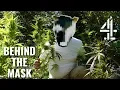 I Grow Cannabis On Other People s Land Behind The Mask
