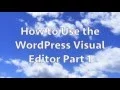 How to Use the WordPress Visual Editor Part 1