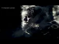 Dirtwater - Mountain Man [Tradução/Legendado]