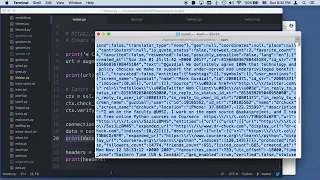 Worked Example Twitter API Chapter 13
