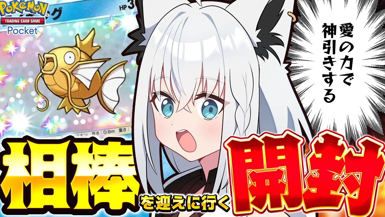 【ポケポケ】金コイある所に我はあり！推しのコイある所に白上あり！いでよ！金コイキング！！【白上フブキ/ホロライブ】