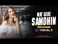 Download Lagu Mat Gehe Samdhin Ha (Remix) - DJ VISHAL S