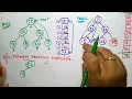 Heap sort example DS Data Structures Lec-55 Bhanu Priya