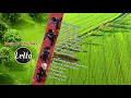 Download Lagu Letto - Cinta Bersabarlah (Best Of The Best)