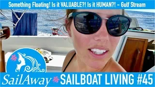 SailAway 45 | Something’s Floating! Is it VALUABLE?! Is it HUMAN?! | Sailboat Living Sailing Vlog