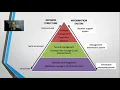 Business Management Information Systems - Ecommerce Case