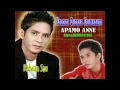 Download Lagu Apamo Anne' - Ridwan Sau