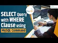 MySQL Select Query with Where Clause Complete Tutorial