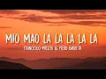 Download Lagu Francesco Misseri \u0026 Piero Barbetti - Mio Mao la la la la la (sped up/Lyrics) [TikTok Song]