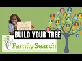 How to Build Your Tree on Family Search FREE
