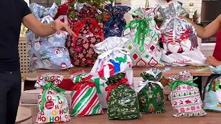 Kringle Express 40-pc Jumbo and Large Gift Bags Set SH on QVC