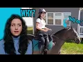 Equestrian Reacts To The Lion Family Irresponsibly Buying A Horse
