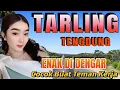 Download Lagu TARLING TENGDUNG ENAK DI DENGAR COCOK BUAT TEMAN KERJA ANDA