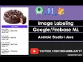 Image Labeling Google ML Android Studio Java