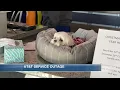 AT T outage causes major issues for local animal hospital