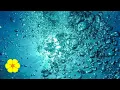 Download Lagu Underwater REAL Bubble Sounds - Water Bubbles - Underwater Sounds Ambience to Relax White Noise