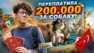 ГОД В ПУТЕШЕСТВИИ С СОБАКОЙ ПО МИРУ! ЧТО Я УЗНАЛА?!