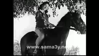 شادية شبكت قلبي 