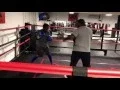 UpperKuts Boxing Club Youth Boxing Lessons JD Ashland Framingham Boston MA
