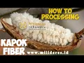 kapok fiber silk cotton how to processing