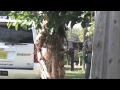 North Sarasota Drug Warrant Sweep