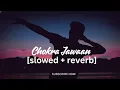 Chokra Jawaan [ slowed + reverb ] || Sunidhi Chauhan, Vishal Dadlani ||
