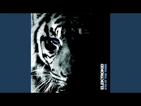 Download MP3 Eye of the tiger (Club Mix)