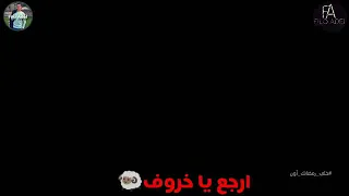  حموبيكا حاله واتس  مفيش دكر   دندنها