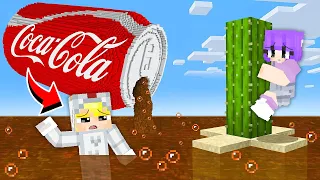 Tô Gà Xây Hầm Trú Ẩn Chống Lũ Lụt Coca Cola