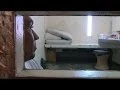 No Way Out Undercover in Solitary Confinement
