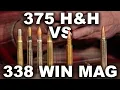 375 H H vs 338 Win Mag Ballistics Comparison