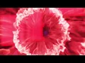 Rule The World (Everybody) (Visualizer) - Tiësto, NIIKO X SWAE, Tears For Fears & GUDFELLA