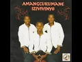 Download Lagu Amangcukumane