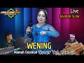 Download Lagu WENING || COVER TEH WINWIN _ LAGU DEGUNG (Genjlong music) Bajidor