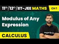 Modulus of Any Expression - Relations and Functions Maths Class IIT-JEE