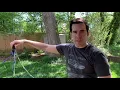 How to trim a tall tree branch in 20 minutes for only 7 without climbing or a ladder DIY