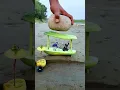 Cucumber tomato amazing graphy idea