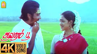 nadhi odum karaiyoram 4k video song aavarampoo vineeth ilaiyaraaja