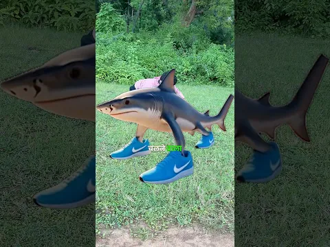 चलने wala shark मछली🦈#shark #blog #fish #blogger #shorts