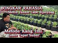 Download Lagu CARA BARU MEDIA TANAM CABE DI POLIBAG METODE KANG IMI, TANAMAN LEBIH CEPAT SUBUR