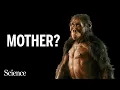 After 50 years Lucy faces rivals with other human ancestors