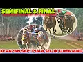 Download Lagu BABAK SEMIFINAL \u0026 FINAL LOMBA KERAPAN SAPI PIALA SELOK LUMAJANG || KEJUTAN 2025 TEMBUS 1 ATAS