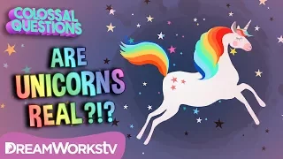 Did UNICORNS Ever Exist COLOSSAL QUESTIONS