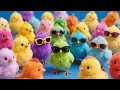 Lagu Catch color Chickens, Cute Chickens, Cute Ducks, Rabbit, Cute Animals