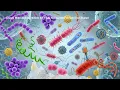 Jawetz Microbiology Chapter 47: Principles of Diagnostic Medical Microbiology